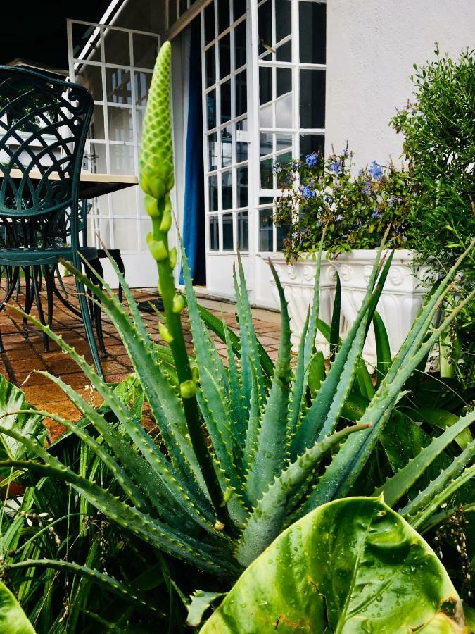 Melville Manor Guest House Joanesburgo Exterior foto